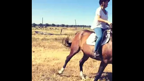 Horse Riding at the farm