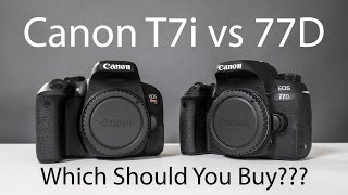 Canon T7i VS 77D and 80D – Which Rebel DSLR Should You Buy