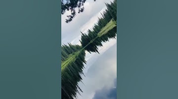 سورة آل عمران نهاية آيه ٦ بصوت القارئ عبدالرحمن مسعد