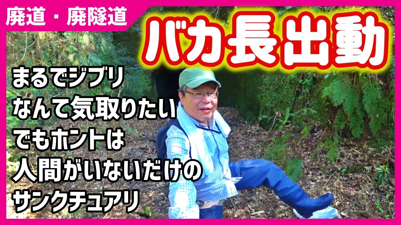 【廃道＆廃トンネル】今ではこの先に足を踏み入れる人は稀でしょう～市原市平蔵の廃道と廃隧道