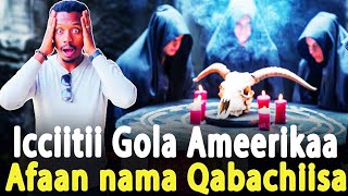 🔥Gola Ameerikaatii Waan dhaga'ame🔥 Waan Afaan nama Qa*achiisu😳 Waan kana beektuu? CHRISTIAN MEDIA
