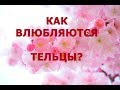 💕 КАК ВЛЮБЛЯЮТСЯ ТЕЛЬЦЫ?  ♉ ПОДАРКИ ДЛЯ ТЕЛЬЦОВ! 🍰