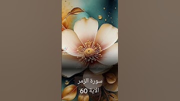 سورة الزمر #تيك_توك #دعاء #دويتو #دعاءمستجاب #لايك #اسلام #حالات_واتس #اسلاميات # اكسبلور#quran