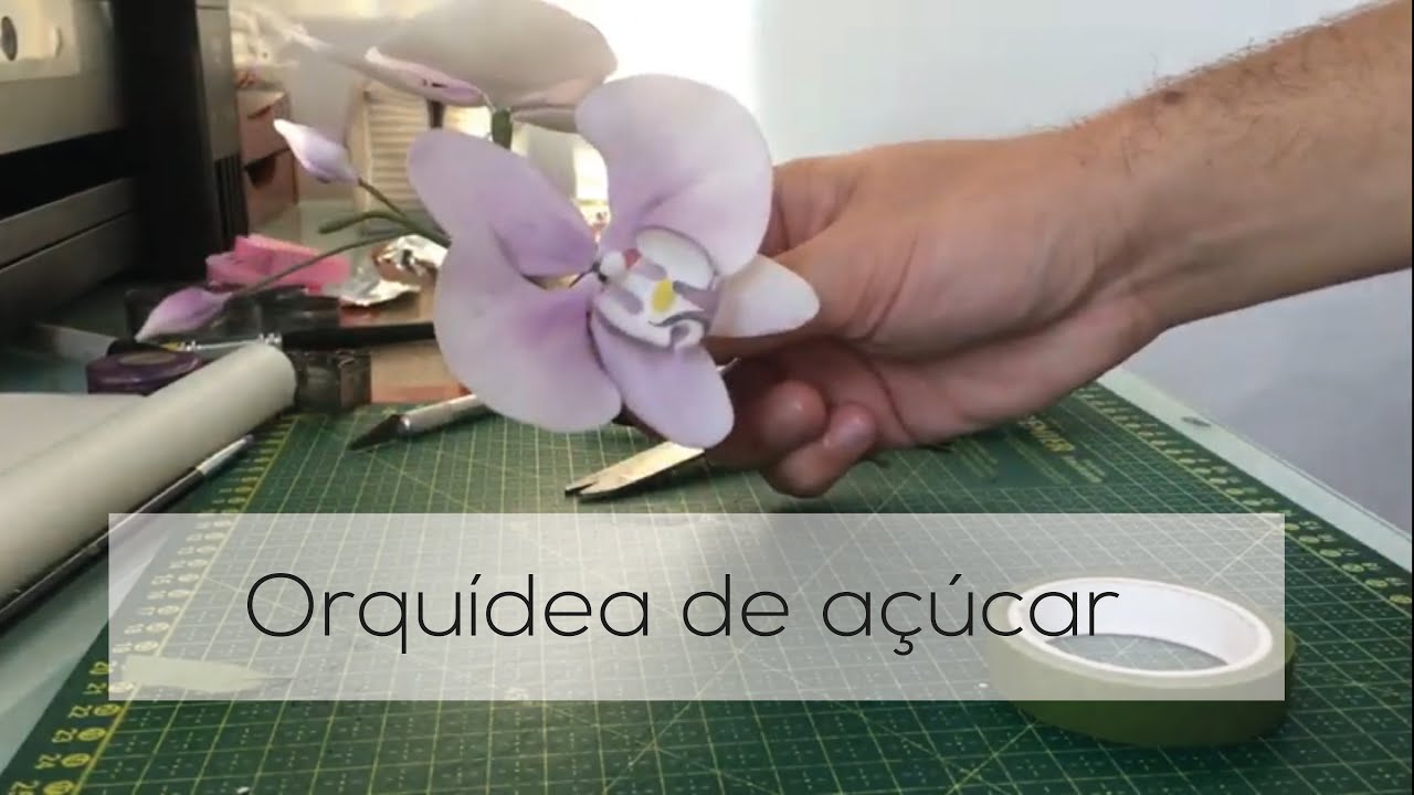 Flor de açúcar - Orquídea phalaenopsis - Cake design - thptnganamst.edu.vn