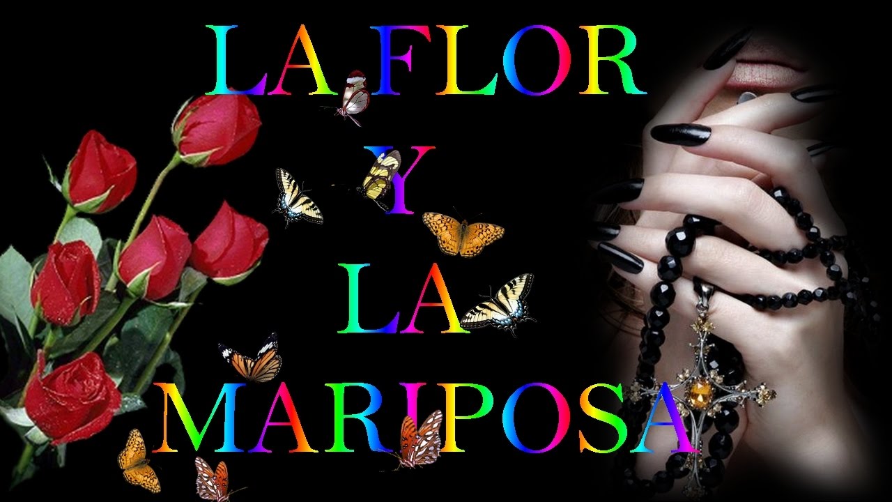 LA FLOR Y LA MARIPOSA (reflexión) - YouTube