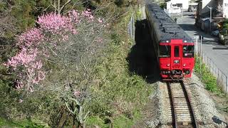 2015/3/8　特急「ゆふ4号」走行@豊後三芳～日田間