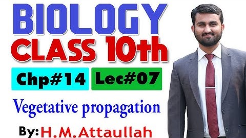 Vegetative propagation | Chapter # 14 | Biology Class 10th | Lec.# 07