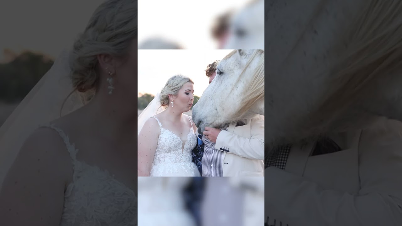 Australian Queensland Outback Wedding Charters Towers