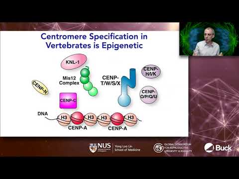 Making Reproductive Longevity