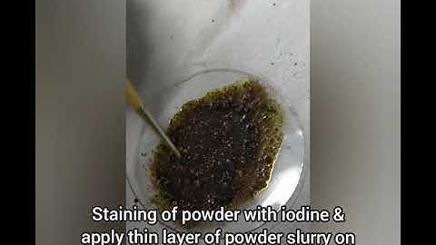 Cassia- morphology, histology, powder microscopy and chemical study