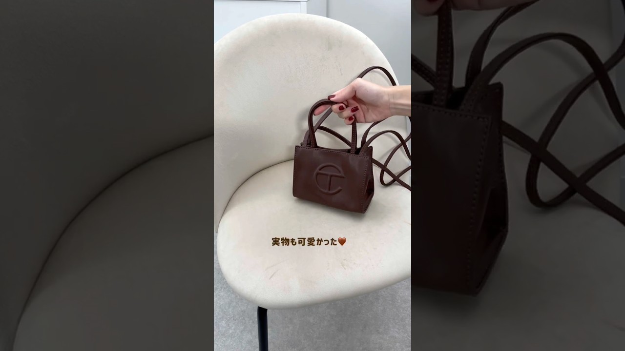 SNSで話題！Telfar(テルファー) のチョコブラウンバッグが可愛すぎた 
