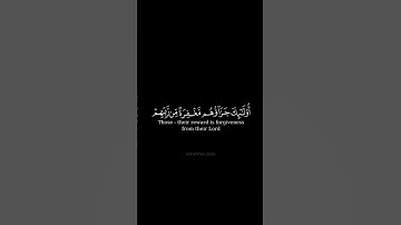 والذين اذا فعلوا فاحشة او ظلموا أنفسهم ذكروا الله #تلاوة #تراويح #رمضان #2023 #قرآن #الشيخ #طارق