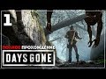 2 года с Конца Света. Жизнь После | Days Gone | МАРАФОН - ПОЛНОЕ ПРОХОЖДЕНИЕ #1