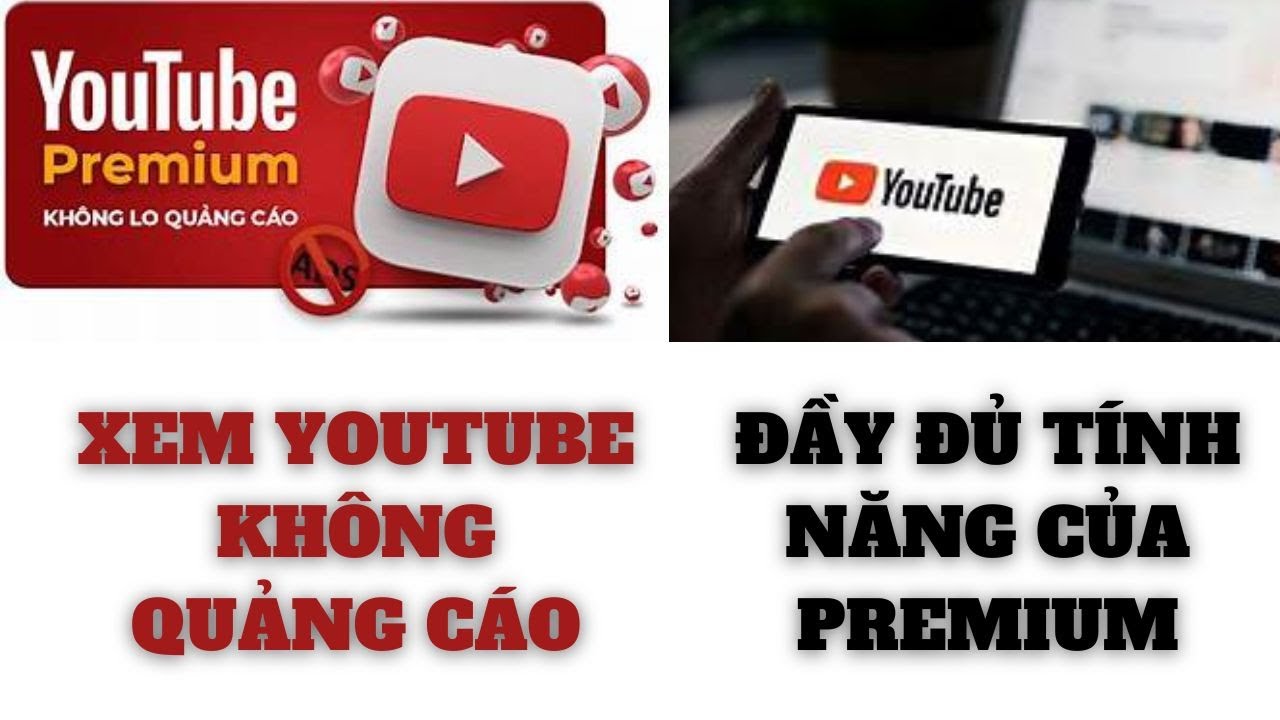 Hướng Dẫn Cách Xem Youtube Không Quảng Cáo Đầy Đủ Tính Năng Giống Premium Cho iPhone Mới Nhất 2024