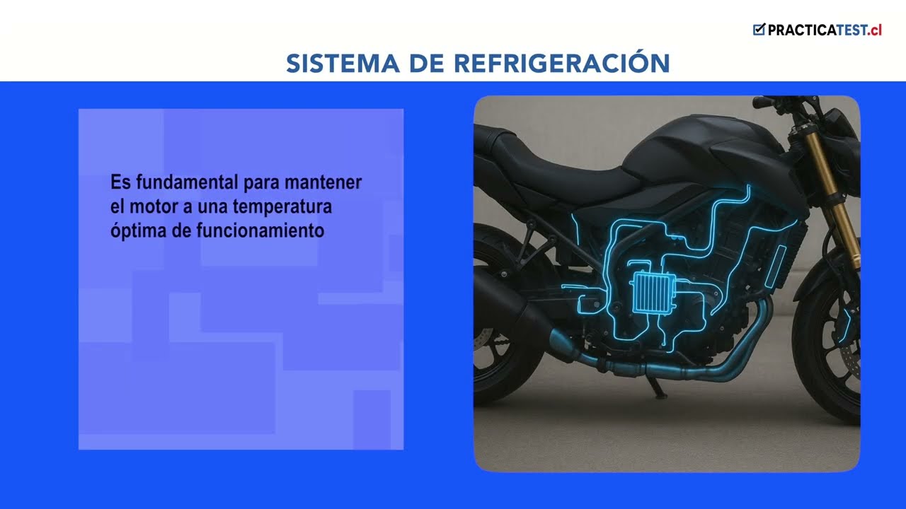 Miniatura del video