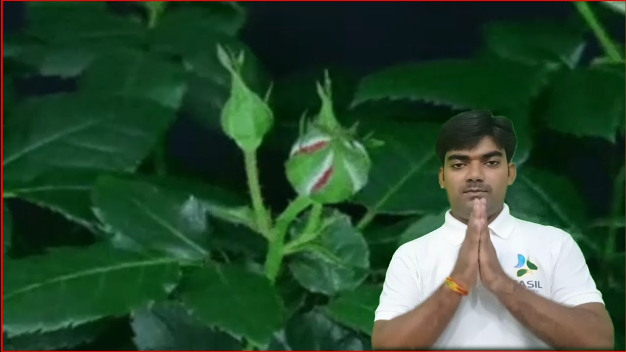 Computer in Indian sign language