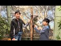 Featherdale sydney wildlife park bonus footage