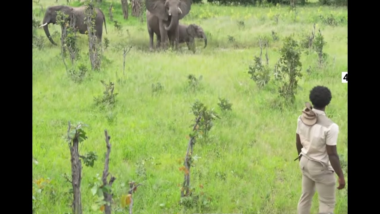 iShowSpeed's First Time In BOTSWANA! 🇧🇼 Reaction