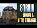 8 Train Sunday On the Vitis Triangle