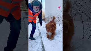 Thumbnail for Children's tears turn to joy as their snowman is reborn #shorts