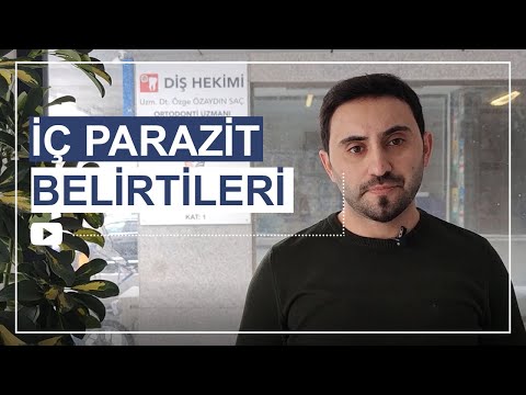 Video: Bir Kuş Kafesi Tohum Catcher Nasıl Yapılır