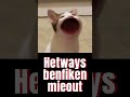 Hetwaysbenflikenmieout