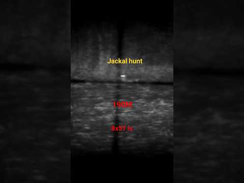 jackal hunt 190M 8x57is, vortex diamondback 3-9x40 #hunters #hunting #huntingpassion #huntingseason by RodjoTheHunter