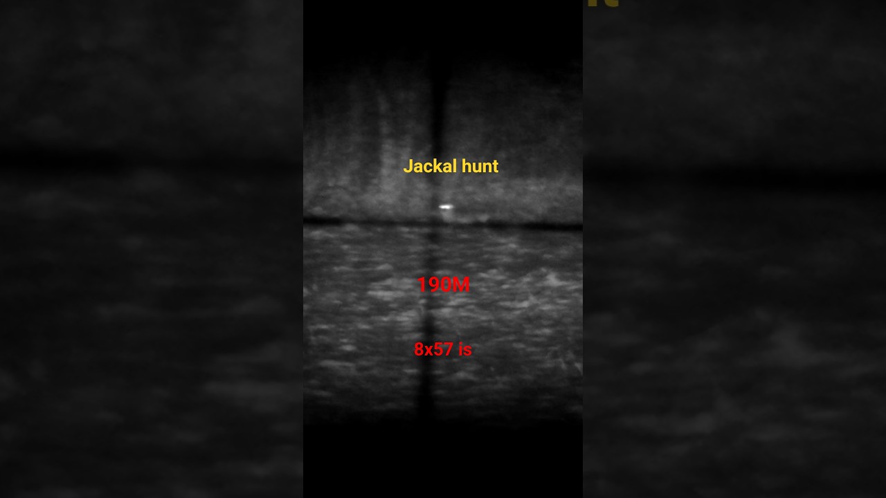 jackal hunt 190M 8x57is, vortex diamondback 3-9x40 