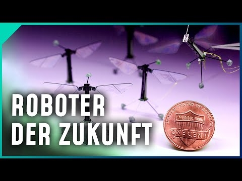 Video: Der Mann Der Zukunft Wird Wie Robben Und Enten - Alternative Ansicht