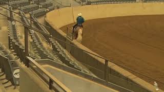 190705 Open Brandon Brant on Don Magnum