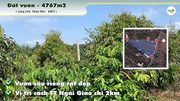 B210 - (5,7 tỷ) Bán vườn sầu riêng, cách trục Mỹ Xuân - Ngãi Giao chỉ 400m Láng Lớn, Châu Đức, BRVT