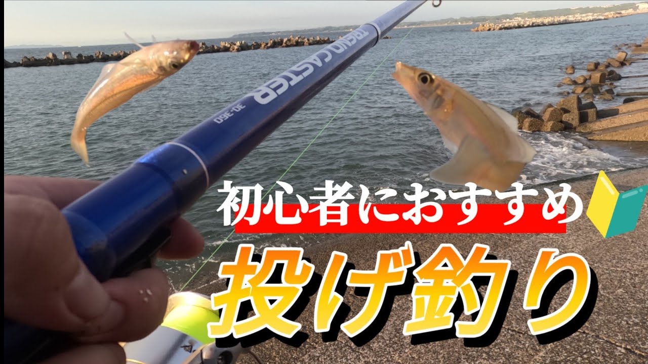 【初心者おすすめ動画】夏の砂浜でシロギスを釣って天ぷらにして食べてみた