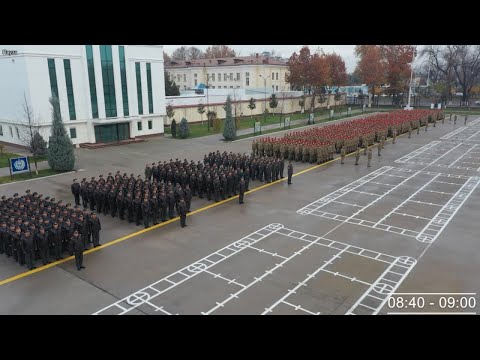 Video: Los-Anjelesdagi harbiy tarix muzeylari