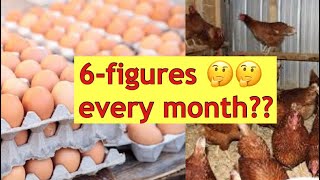 Earning Big Bucks in a City Setting || Kenyan farmers maximizing their land || chicken rearing