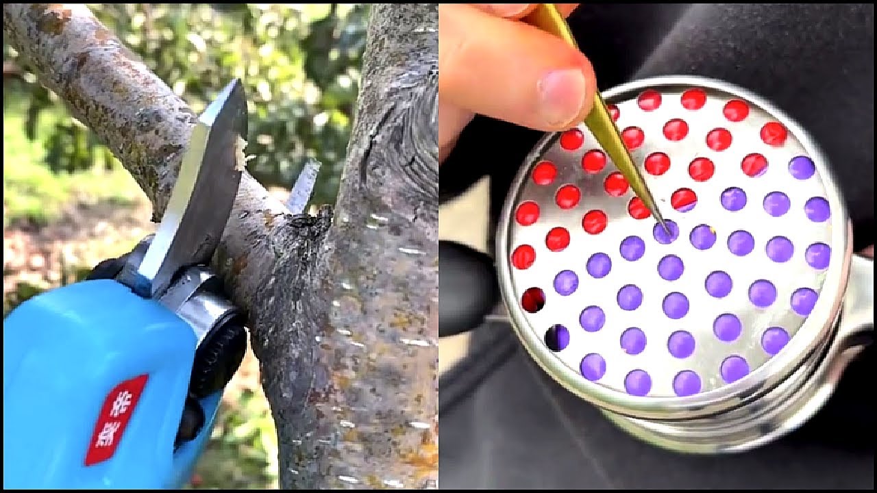 Best Oddly Satisfying Video & Relaxing Music & Make You Sleep # ...