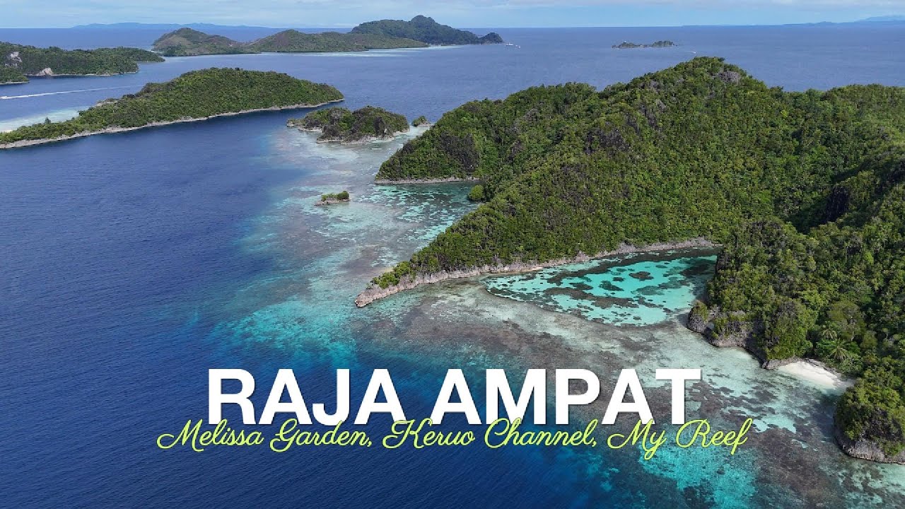 Raja Ampats Ultimate Adventure | Diving, Turtles & Piaynemo Views | Emperor Harmoni Liveaboard