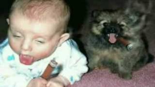 funny animated gifs 84