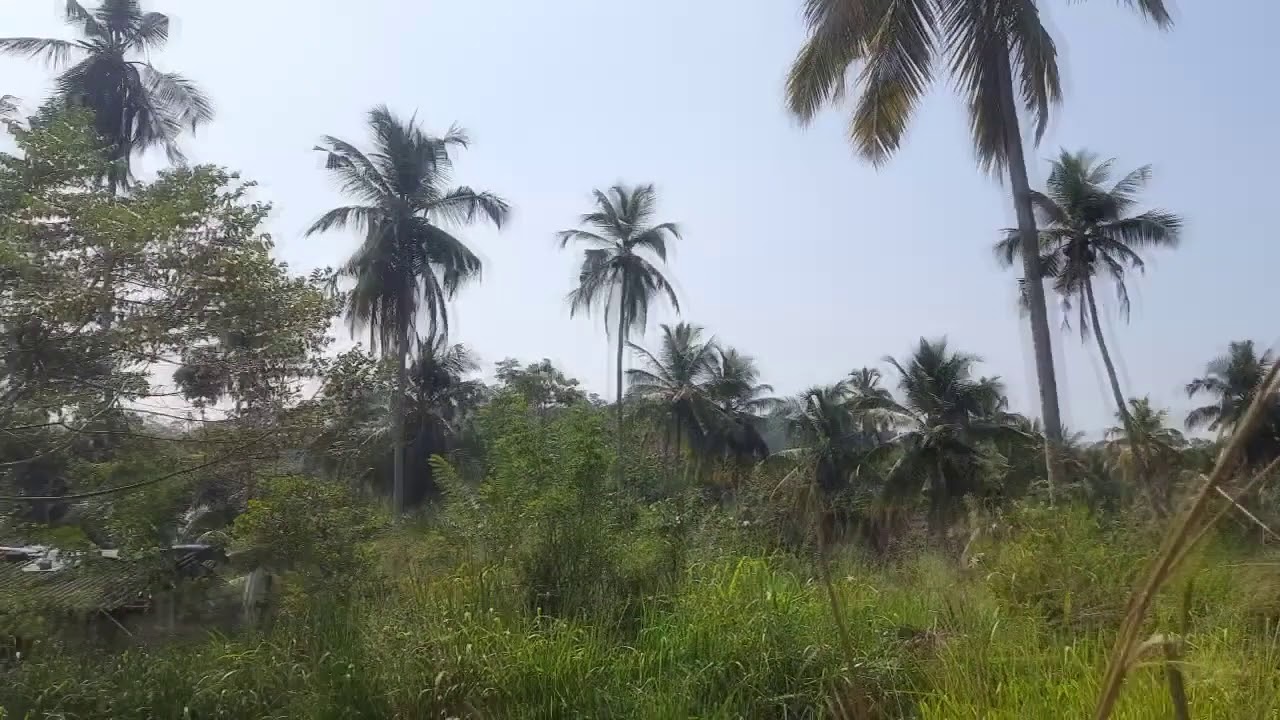 3.5 Acres Land for Sale at Warakapola Road, Mirigama. (Price - Rs. 13.5 Mn Negotiable)