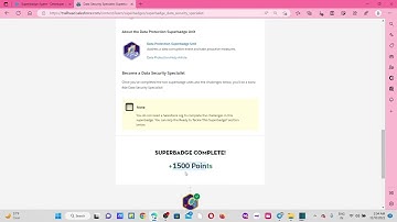 Data Security Specialist Superbadge