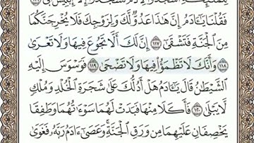 الصفحة 320 | سورة طــه