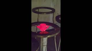 NZWTA Textiles and Materials Wool Grease Burning
