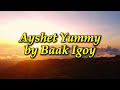 Ayshet Yummy By Shagem Lyric Visualizer