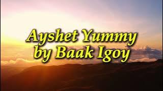 Ayshet Yummy by Shagem  Lyric Visualizer