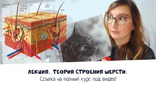Лекция - Строение шерсти для курса Лекция - Строение шерсти для курса