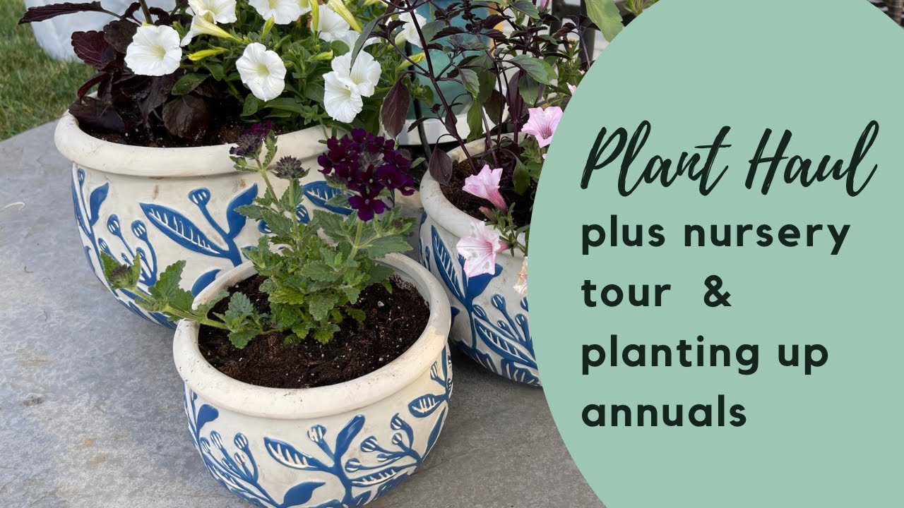 Plant Haul! Plus nursery tour! - YouTube