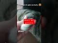 el me caia bien pero murio😭😭😭😭