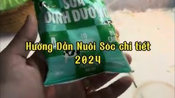 Hướng Dẫn Nuôi Sóc Baby 2024 - Trương Tuấn Sóc Cảnh