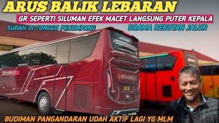 ARUS BALIK GR LANGSUNG PUTER BALIK❗PANEN RAYA JALUR EMAS BUS PADA TELAT MASUK 