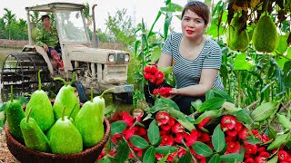 60 Busy Days Of Father & Daughter - Planting Spring Crops - Harvest Crops, Fish Go to Market to Sell