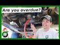 231 Transfer Case:  Red Line fluid change